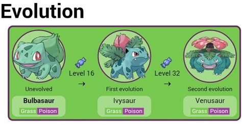 bulbasaur evolve level|Pokémon evolution charts .